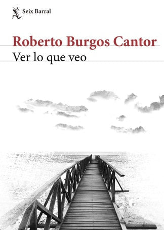 Ver lo que veo, Roberto Burgos Cantor