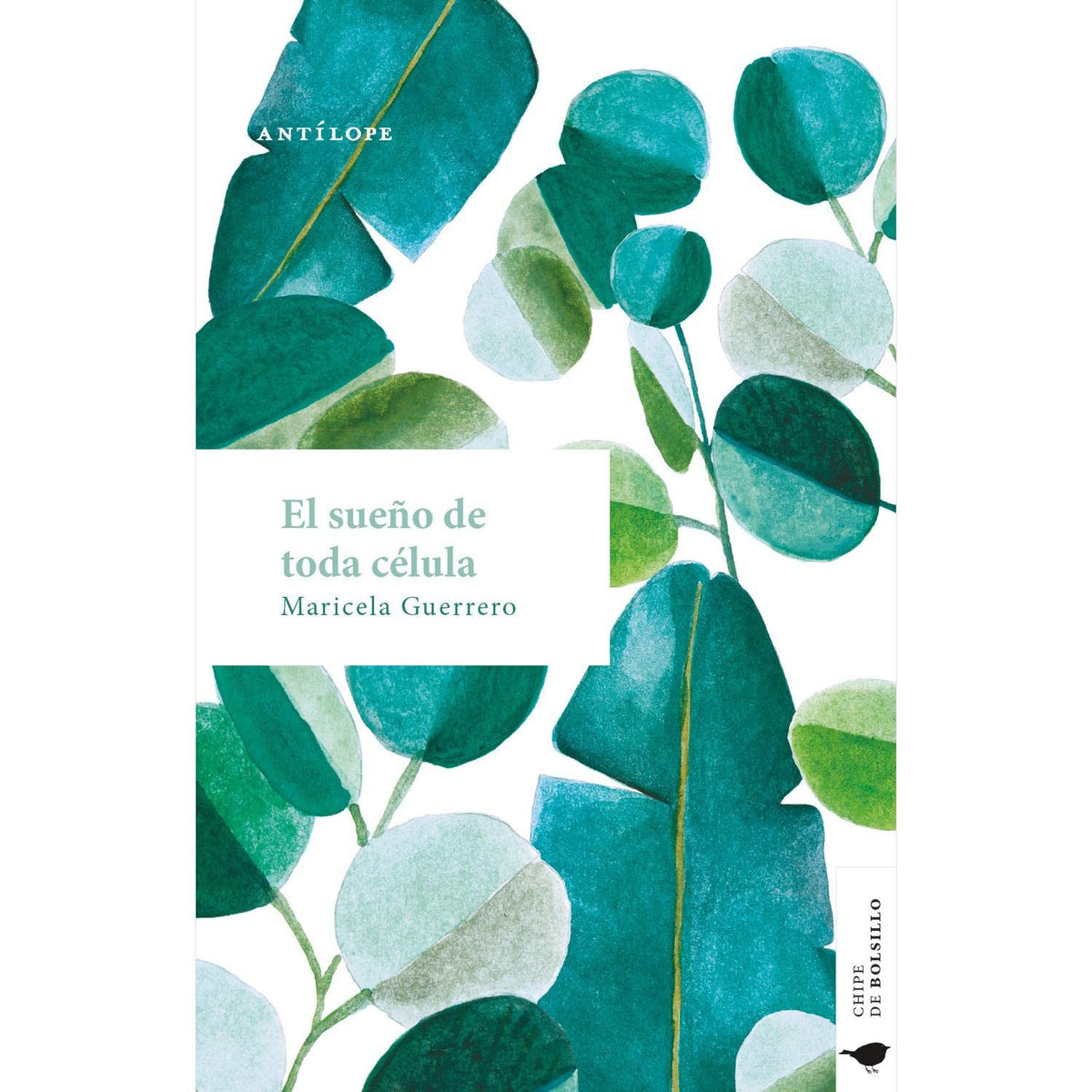 El sueño de toda célula, Maricela Guerrero