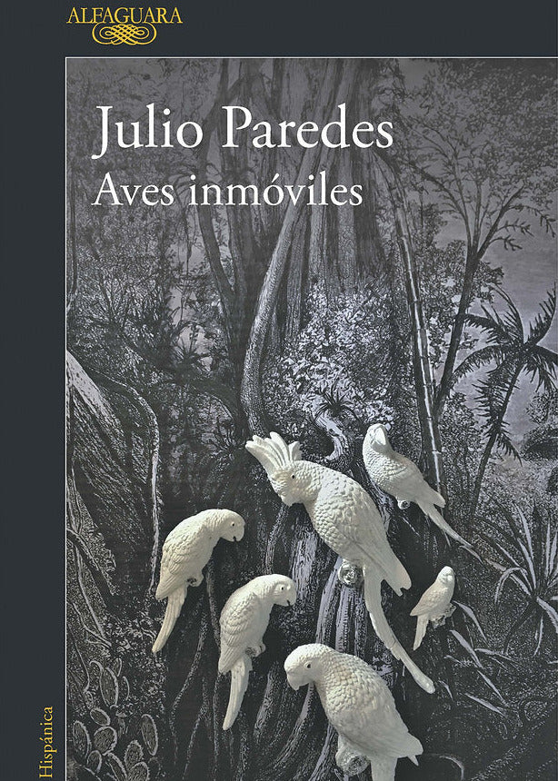 Aves inmóviles, Julio Paredes
